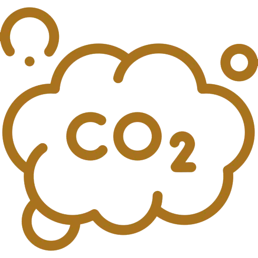 CO2 Icon